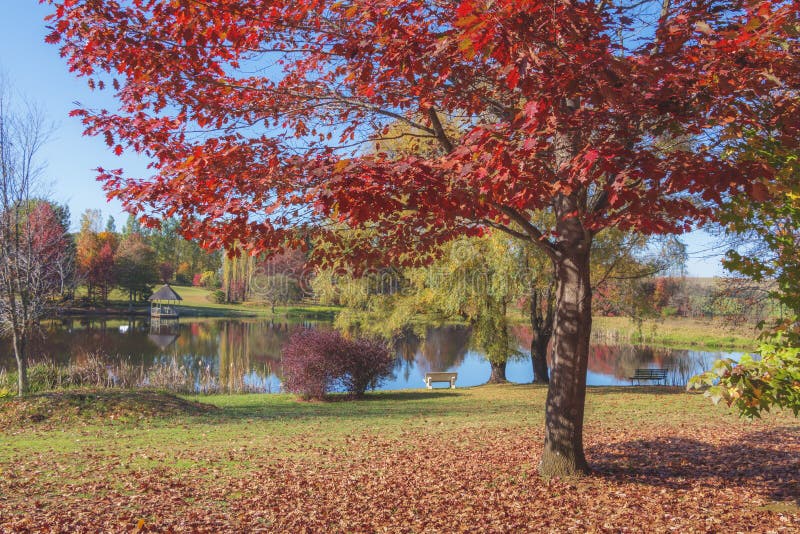 Autumn in the south