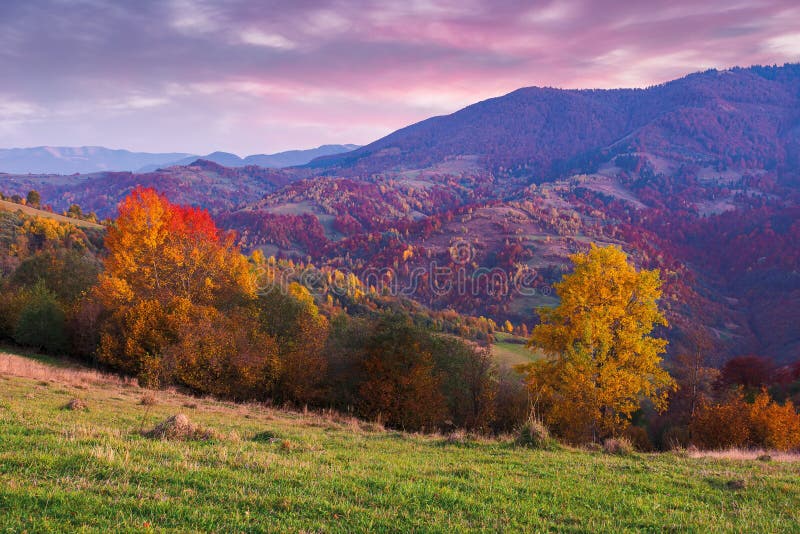Beautiful Autumn Countryside Landscape At Dusk Stock Photo Image Of