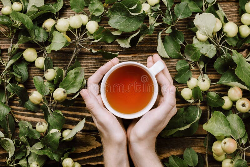 Beautiful autumn cozy flatlay with apple tree branches with ripe fruits, woman`s hands holding cup of warm tea