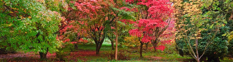 Beautiful Autumn Fall nature image landscape stock image Beautiful Autumn Fall nature image landscape stock image