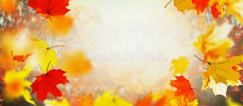 Beautiful autumn falling leaves on sunny day and sunlight, outdoor nature background