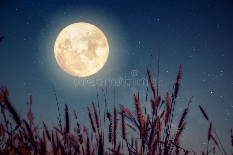 Beautiful autumn fantasy royalty free stock photo Beautiful autumn fantasy royalty free stock photo