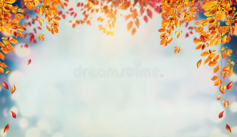 18,219,250 Beautiful Background Stock Photos - Free & Royalty-Free Stock  Photos from Dreamstime