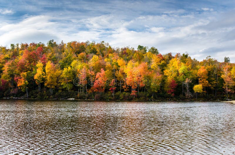 Beautiful Autumn Forest along the Shores of a Lake