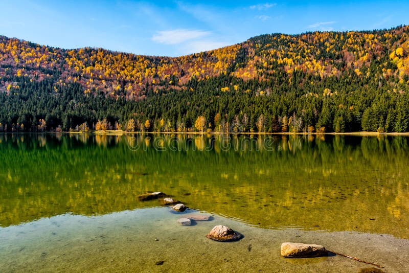 Beautiful autumn landscape with golden trees and rocks in the water