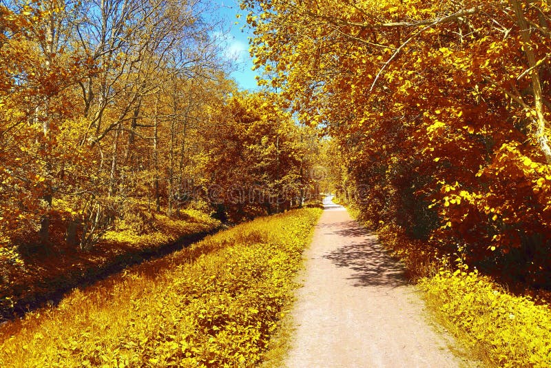 Beautiful Autumn Landscape Showing a Path through a Golden October ...