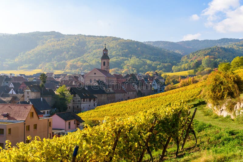 Beautiful autumn landscape with vineyards near the historic village of Riquewihr, Alsace, France - Europe. Colorful travel and