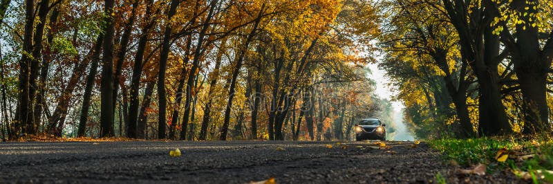 Beautiful autumn landscape with the road and the sun`s rays of the setting sun