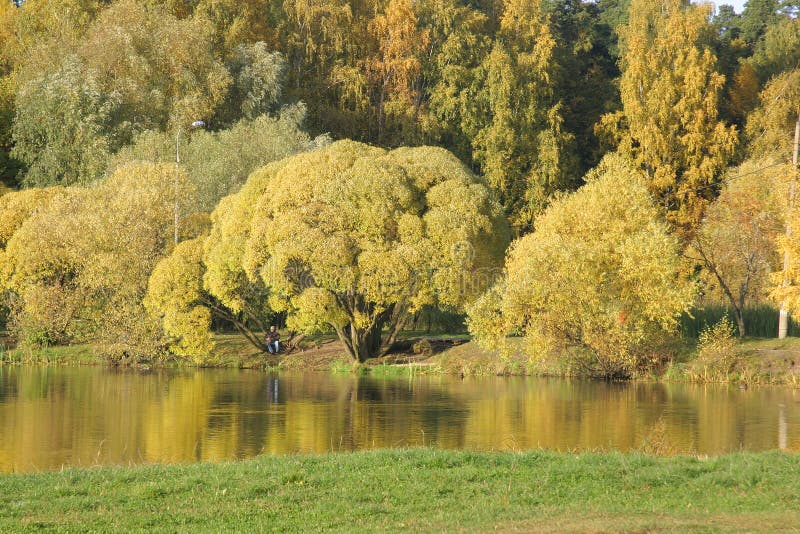 Streshnevo Park Photos Free Royalty Free Stock Photos From Dreamstime Streshnevo Park Photos Free Royalty Free Stock Photos From Dreamstime
