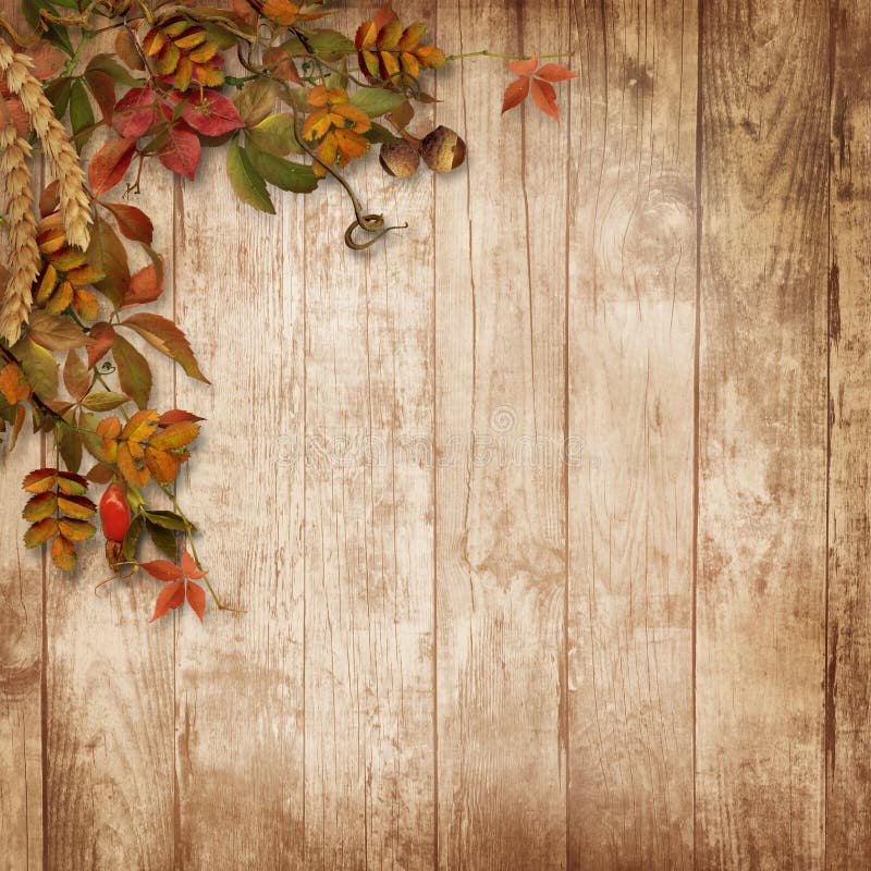 Autumn Wooden Background with a Branch of Mountain Ash Stock Photo ...