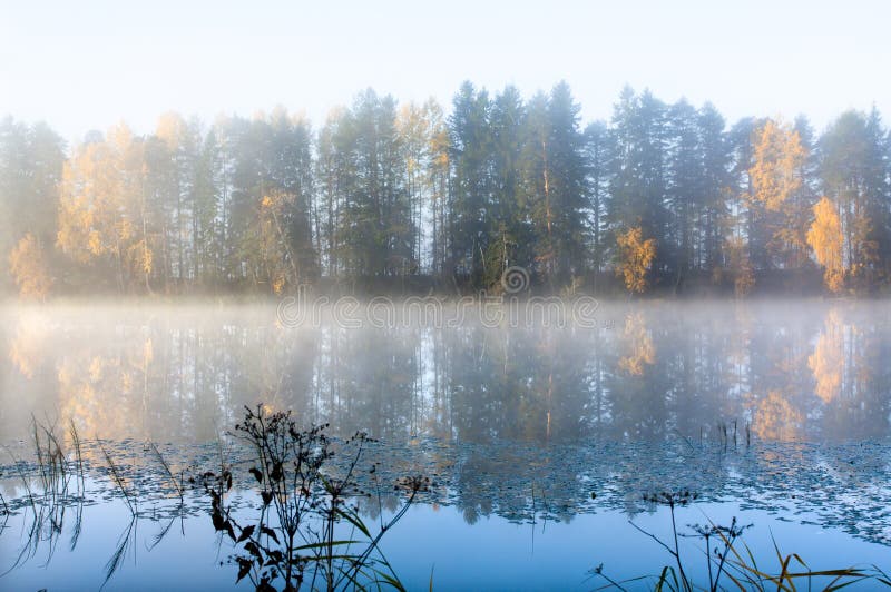 Beautiful Autumn Morning Landscape of Kymijoki River Waters in Fog ...