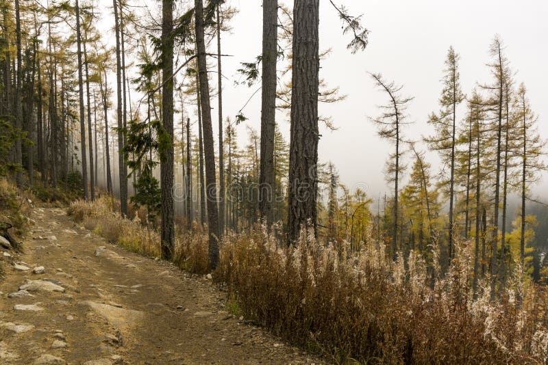 Beautiful autumn nature in Slovakia. High Tatra Mountains.