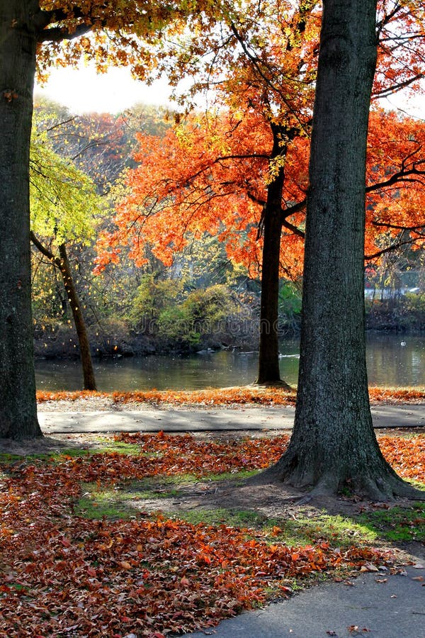 Beautiful autumn park view.