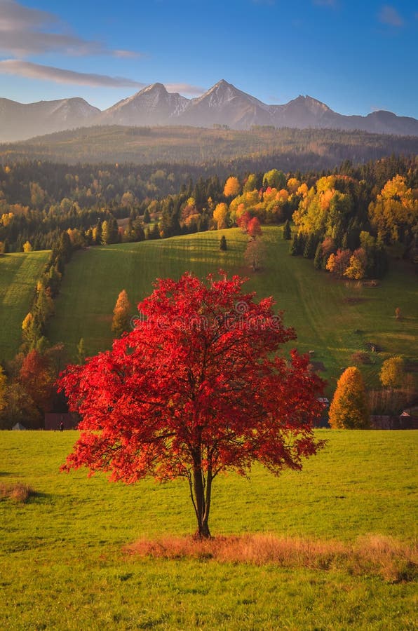 Beautiful autumn rural landscape.