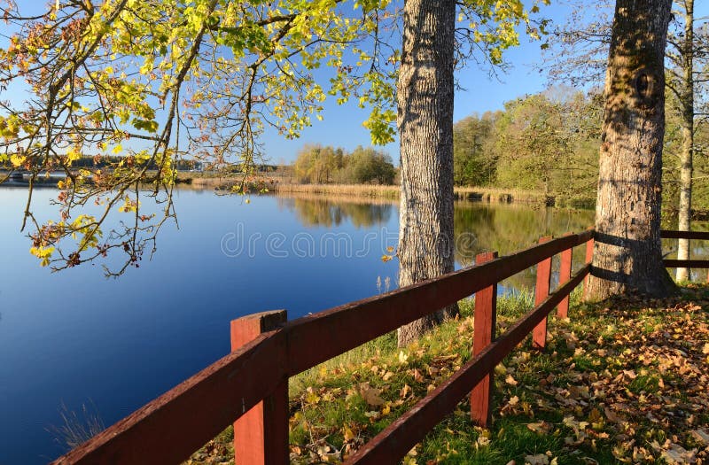 Beautiful autumn's view royalty free stock photo