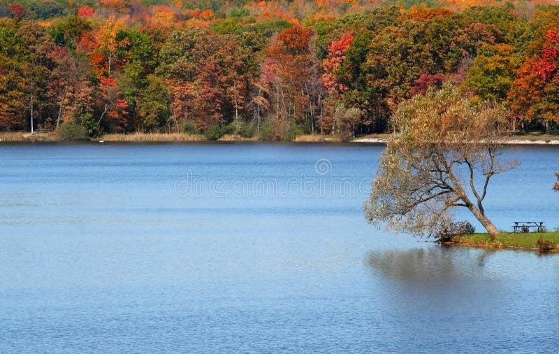 Beautiful Autumn Scene royalty free stock photography