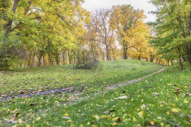 Beautiful Autumn Scenery Stock Image Image Of Trees 102615291