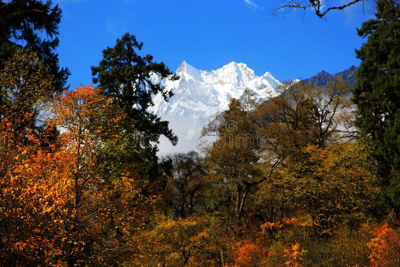 Beautiful autumn scenery in Hailuogou glaciers park