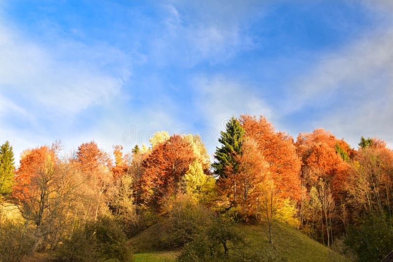 Beautiful autumn scenery