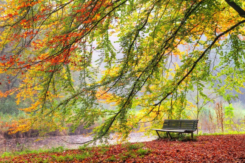 Autumn bench