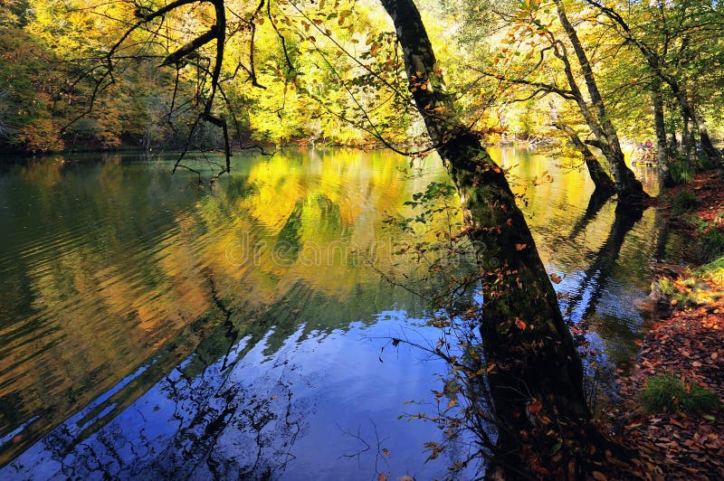 Beautiful autumnal lake