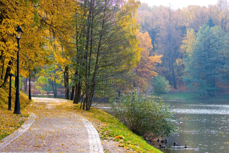 Beautiful avenue in autumn park.