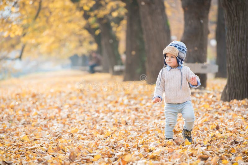 Beautiful Baby Boy Walking Throw The Autumn Leaves At The Park Stock
