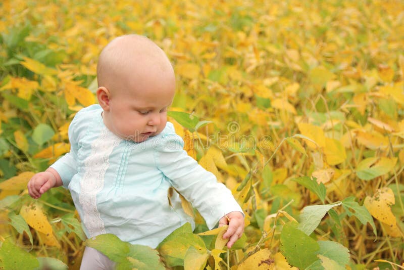 Beautiful Baby Girl Outside in Fall Nature