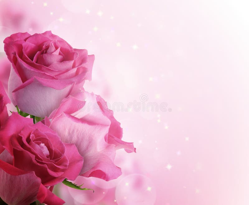 Hermoso felicidades flores rosas.
