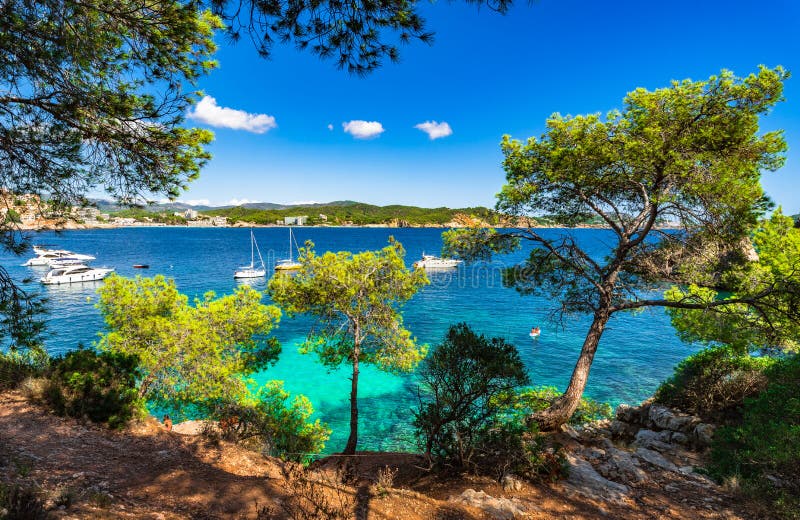 Idyllic seaside scenery at bay with yachts at Cala Fornells on Majorca island, Spain Mediterranean Sea, Balearic Islands Mallorca. Idyllic seaside scenery at bay with yachts at Cala Fornells on Majorca island, Spain Mediterranean Sea, Balearic Islands Mallorca.