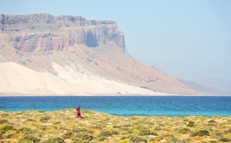 Beautiful bay on Socotra island royalty free stock image Beautiful bay on Socotra island royalty free stock image
