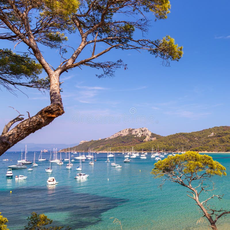 The Bay with Yachts in Porquerolles, the Island in Southern France ...