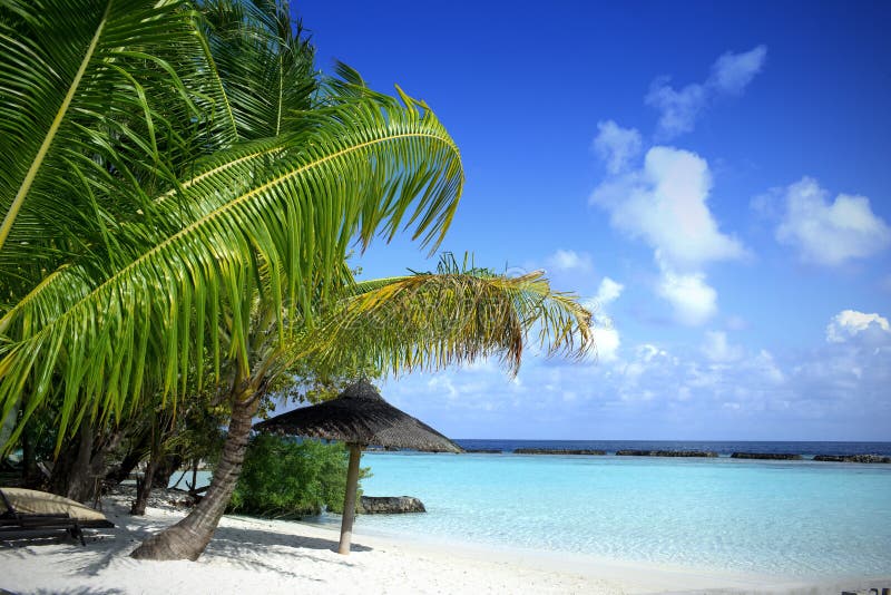 Beautiful Beach with blue sea & blue sky