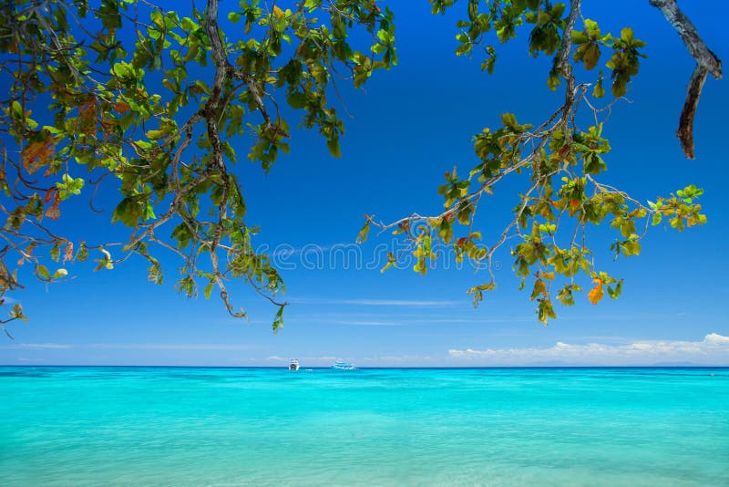 Beautiful beach with blue sea at Tachai island, South of Thailand