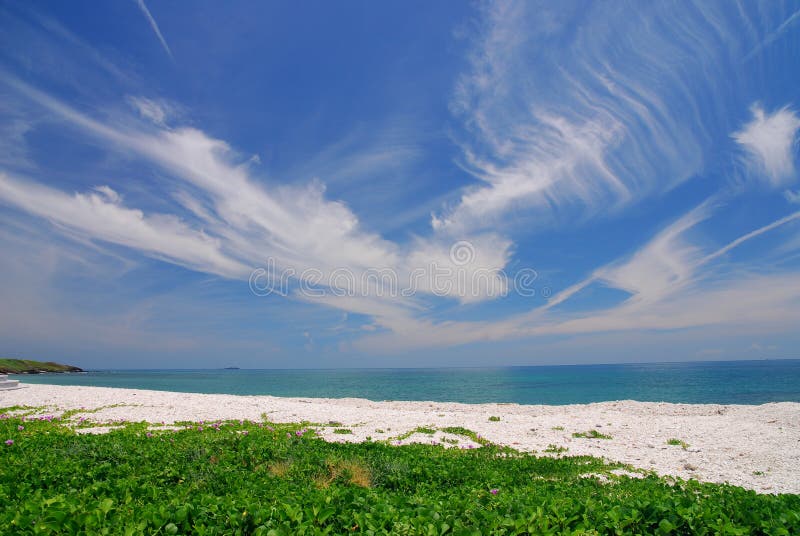 Beautiful beach with blue sky and green grass.