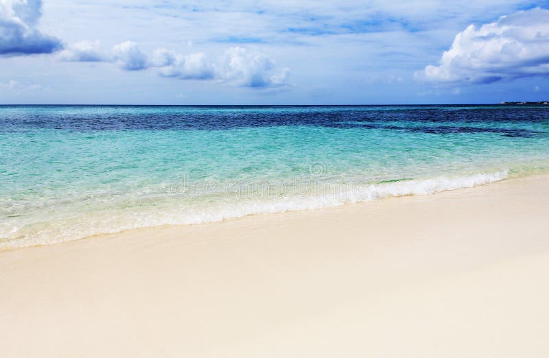 Beautiful beach on the cayman islands
