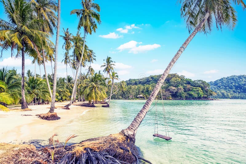 Beautiful Beach with Palm Trees. Khlong Hin Bay, Koh Kood, Thailand ...