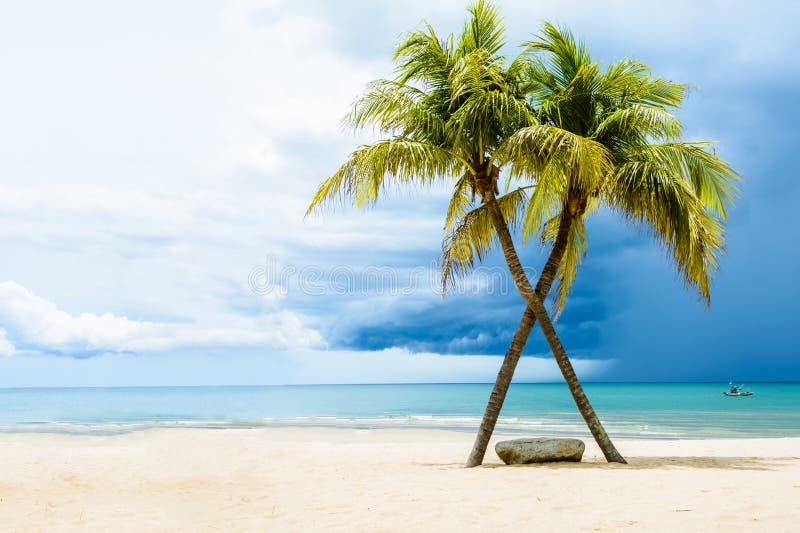 Beautiful beach with palms