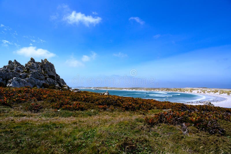 Gypsy Cove, beautiful landscape with rocks, summer vegetation and South Atlantic Ocean in Yorke Bay, Stanley, Falkland Islands