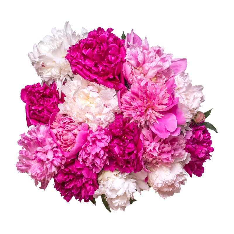 Beautiful big bouquet of peonies isolated on a white background