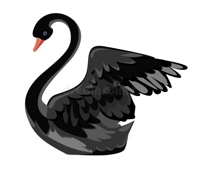 Black Stock – 6,509 Black Swan Stock Illustrations, Vectors & Clipart - Dreamstime