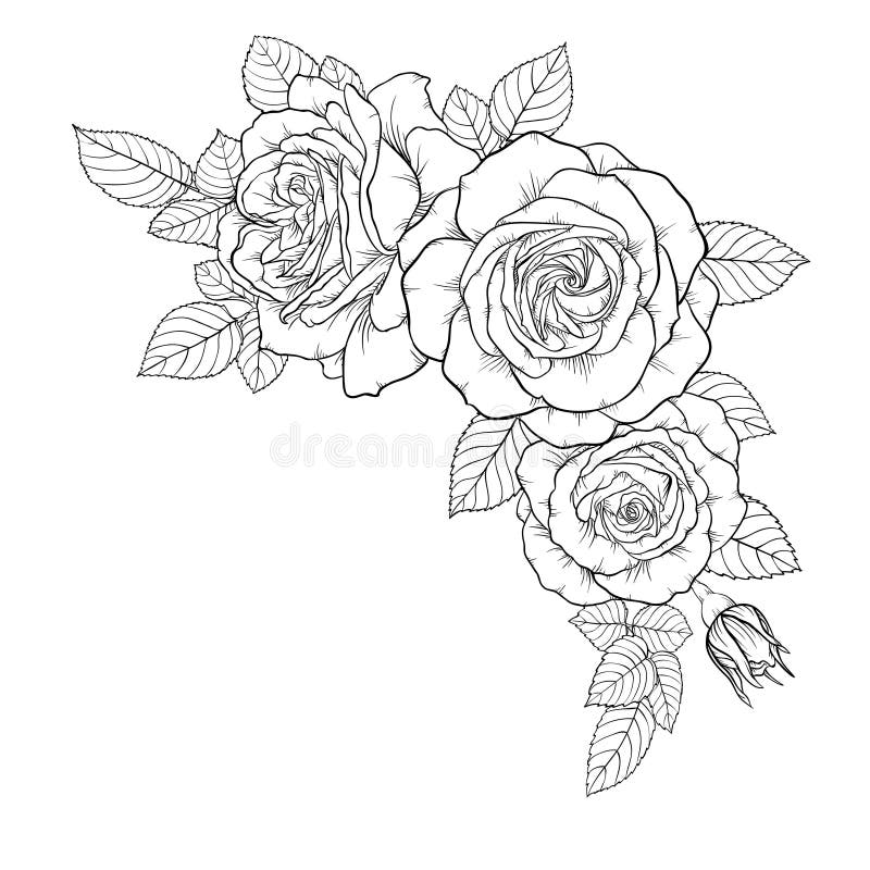 Beautiful black and white bouquet rose and leaves. Floral arrangement isolated on background. design greeting card and invitation vector illustration Beautiful black and white bouquet rose and leaves. Floral arrangement isolated on background. design greeting card and invitation vector illustration