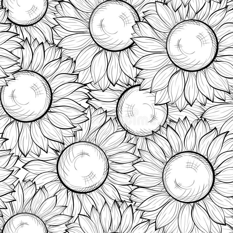 Beautiful black and white seamless background with sunflowers. Hand-drawn contour lines and strokes