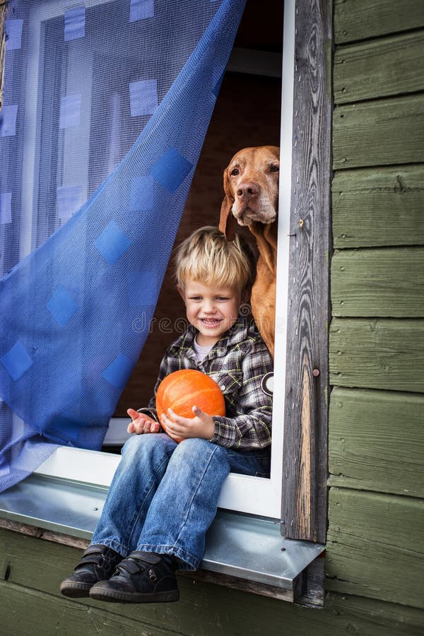 Beautiful blond boy sitting on window sill with hungarian vizsla and hold pumpkin royalty free stock photography Beautiful blond boy sitting on window sill with hungarian vizsla and hold pumpkin royalty free stock photography