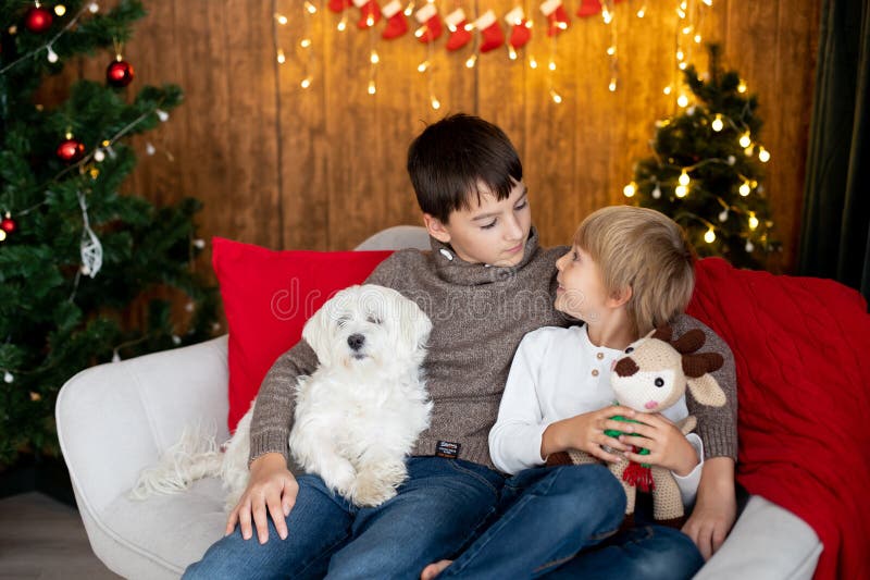 Beautiful blond child and his older brother, young school boys, playing in a decorated home with knitted toys