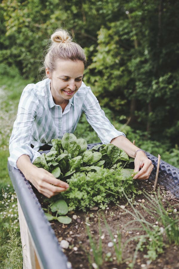 Beautiful blond woman posing next to raised garden bed and her fresh vegetables stock photo