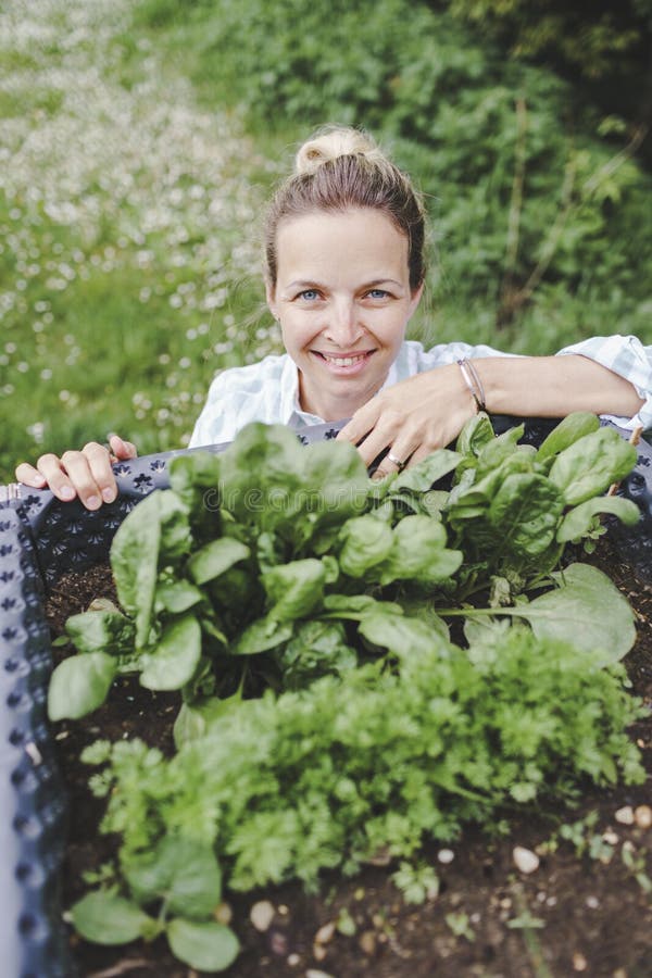 Beautiful blond woman posing next to raised garden bed and her fresh vegetables stock photography