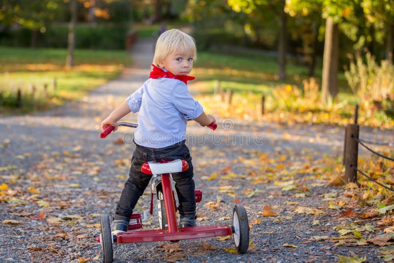 Beautiful blonde two years old toddler boy, riding red tricycle in the park on sunset, beautiful autumn day