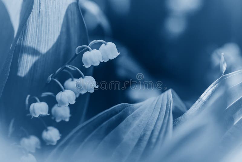 1,049 Cute Fairy Wallpaper Stock Photos - Free & Royalty-Free Stock Photos from Dreamstime 1,049 Cute Fairy Wallpaper Stock Photos - Free & Royalty-Free Stock Photos from Dreamstime