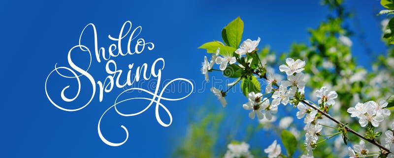 Beautiful blooming spring garden on a background of blue sky and text Hello Spring. Calligraphy lettering stock photos Beautiful blooming spring garden on a background of blue sky and text Hello Spring. Calligraphy lettering stock photos